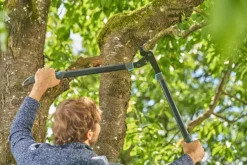 Snoeigereedschap > Gardena Aambeeldtakkenschaar EnergyCut Pro L met aambeeldsnede