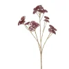 Achillea spray burgundy 72cm