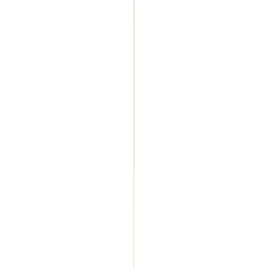 Houtenprofielen|Overgangsprofielen > Geen Afdeklijst grenen 6x44 mm lengte 270 cm