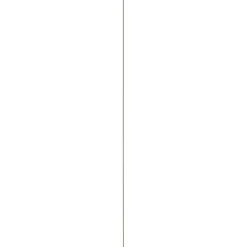 Houtenprofielen|Overgangsprofielen > Geen Afdeklijst hardhout 4x29 mm lengte 270 cm