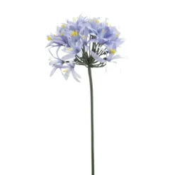Agapanthus spray blauw 80cm