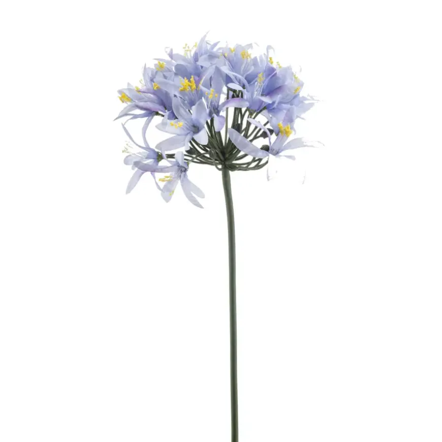 Agapanthus spray blauw 80cm
