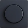 Dimmers|Inbouw Schakelmateriaal > Berker Q1 Centraalplaat Dimmer Antraciet