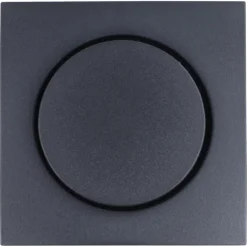 Dimmers|Inbouw Schakelmateriaal > Berker S.1 Centraalplaat met Dimmerknop antraciet
