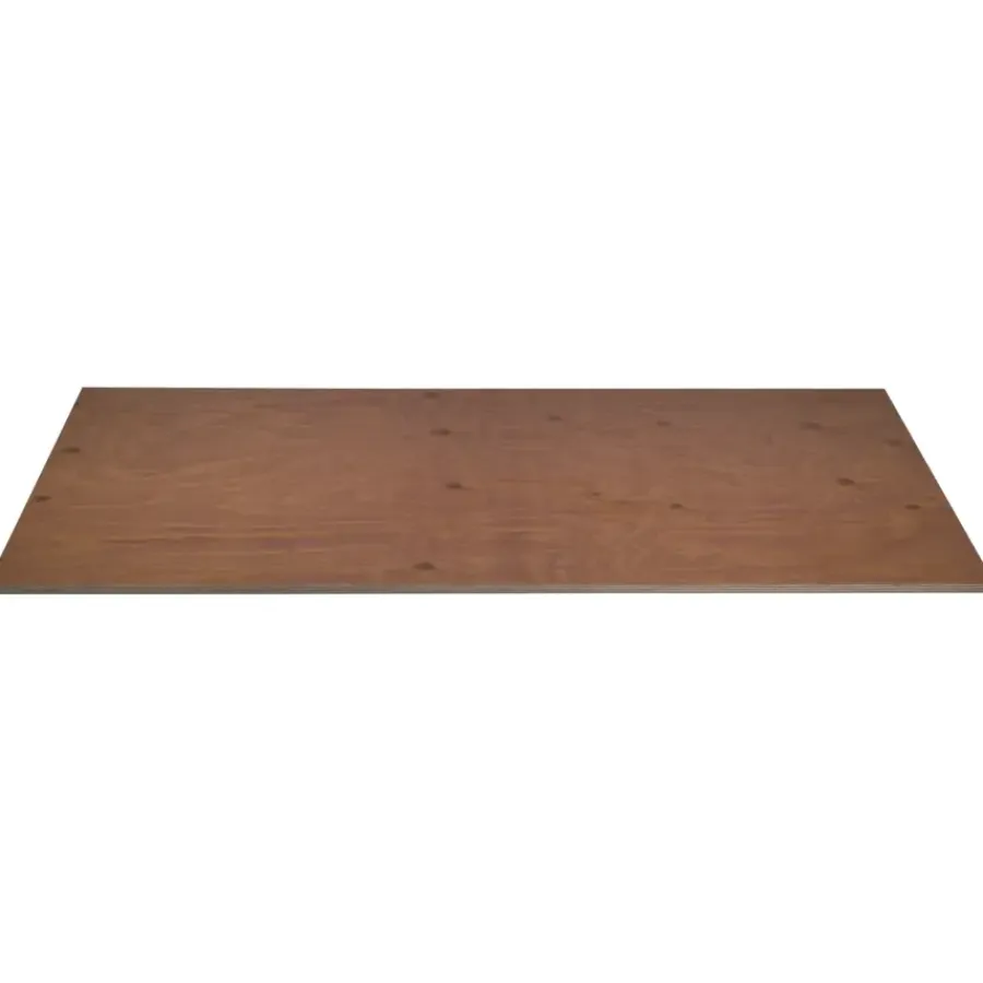 Constructieplaten|Alle Houten Platen > Geen Betonplex 125x62,5 cm dikte 12 mm