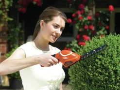 Grasscharen En Buxusscharen|Heggenscharen > BLACK+DECKER 3,6V struikschaar GSL300-QW