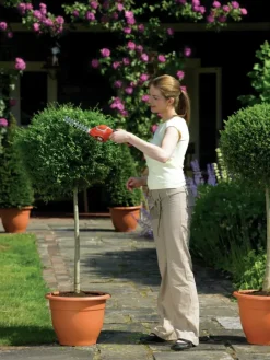 Grasscharen En Buxusscharen|Heggenscharen > BLACK+DECKER 3,6V struikschaar GSL300-QW