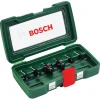 Freesaccessoires > Bosch houtfrezenset HM 6 mm (6-delig)