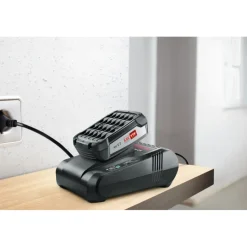 Overige Elektrisch Gereedschap Accessoires > Bosch 18V snellader / oplader voor het 'Power for All' accuplatform van , Gardena en o.a. Gloria