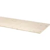 Timmerpanelen > CanDo timmerpaneel 200x60 cm dikte 18 mm