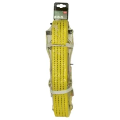 Aanhanger Accessoires > Carpoint extra brede spanband met ratel en haken 9m
