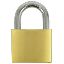 Aanhanger Accessoires > Carpoint hangslot 50mm