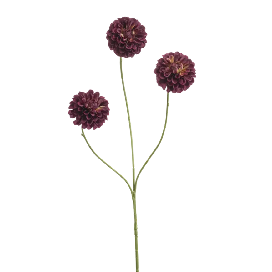 Dahlia pompom mini burgundy 68cm