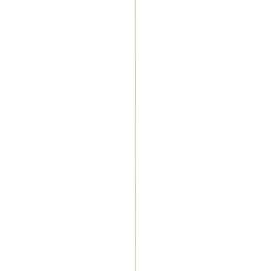 Houtenprofielen|Overgangsprofielen > Geen Decorlijst grenen 6x22 mm lengte 270 cm