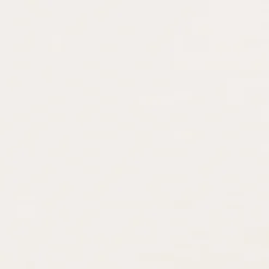 PVC Wandtegels & Panelen|Wandpanelen > Dumaplast Dumaclip wand- en plafondpaneel PVC essen wit 2.4m2, afm. 120 x 25 cm
