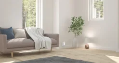 Intercoms & Deurbellen|Elektronische Beveiliging > Eufy Video Deurbel Chime Uitbreiding