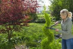 Snoeigereedschap > Gardena buxusschaar PrecisionCut