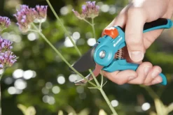 Snoeigereedschap > Gardena snoeischaar Classic