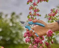 Snoeigereedschap > Gardena snoeischaar EasyCut