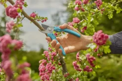 Snoeigereedschap > Gardena snoeischaar EasyCut