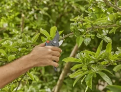 Snoeigereedschap > Gardena snoeischaar PremiumCut Pro vers hout bypass