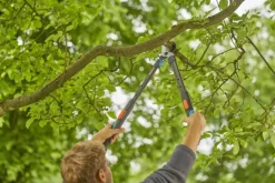 Snoeigereedschap > Gardena takkenschaar TeleCut Pro S