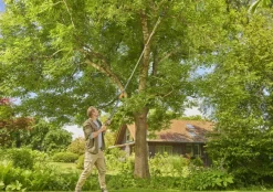 Snoeigereedschap > Gardena telescopische takkenschaar - StarCut Pro L