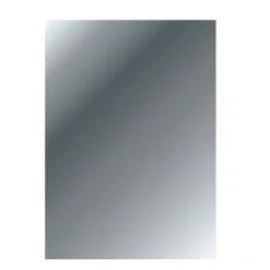 Haceka badkamerspiegel rechthoek 30 x 120 cm chroom