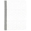 Handson kippengaas 100 cm x 10 m verzinkt