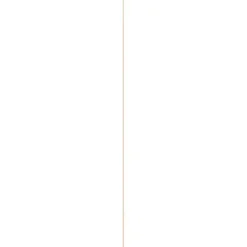 Houtenprofielen > Geen Hollat grenen 22x22 mm lengte 270 cm