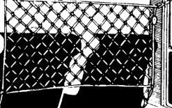 Interieuraccessoires > Carpoint Hondennet 130x87cm
