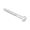 Houtdraadbout gegalvaniseerd M5x60mm 3 stuks