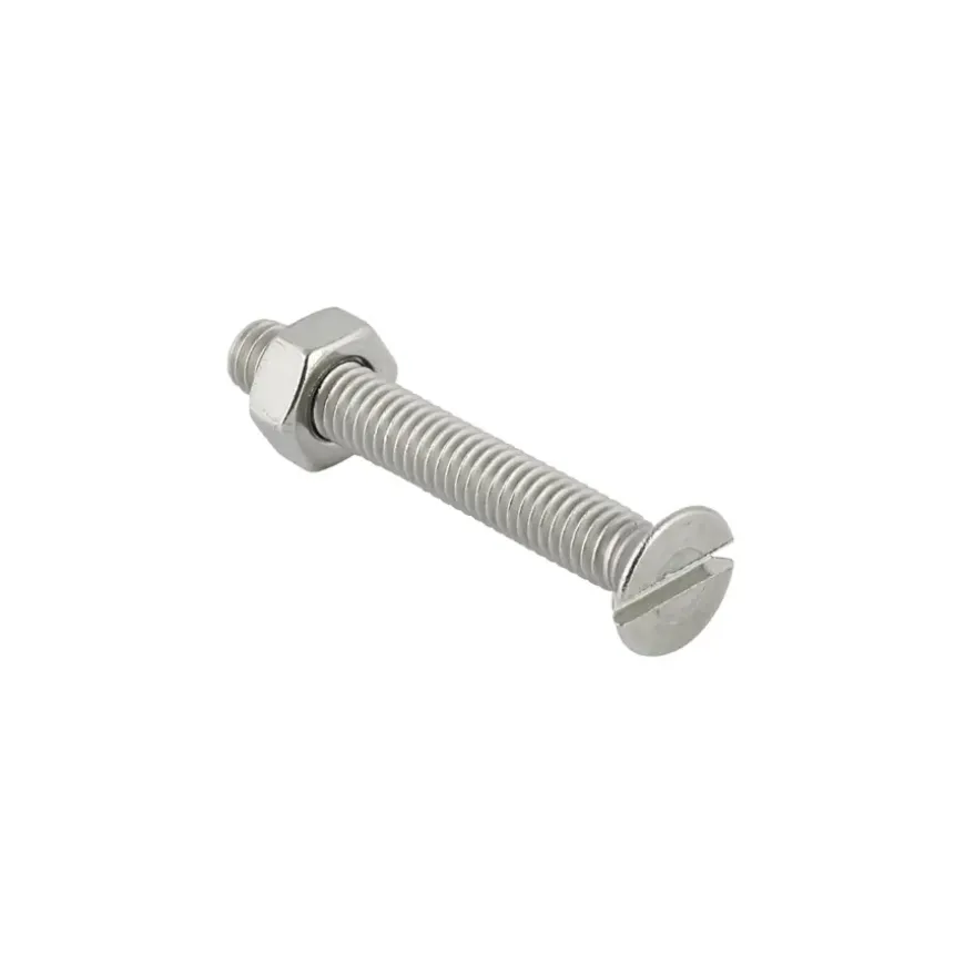 KARWEI metaalbout RVS 6x20 mm 10 stuks