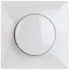 Dimmers|Inbouw Schakelmateriaal > KARWEI Solis centraalplaat dimmer wit