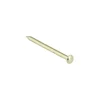 KARWEI spijker vermessingd 2x30 mm (50 stuks)