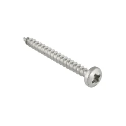 KARWEI unischroef cilinderkop rvs 3x20 mm (15 stuks)