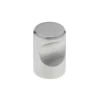 Knop Noa rvs 15mm