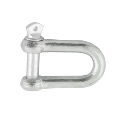 Ledent D-sluiting verzinkt 10 mm