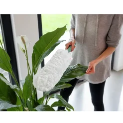 Leifheit Superduster XL plumeau vervanging microvezel 56 cm
