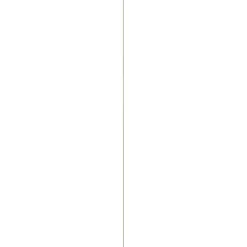 Houtenprofielen|Overgangsprofielen > Geen Lijst hockeystick grenen 9x27 mm lengte 270 cm