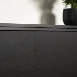 Meubelpanelen|Timmerpanelen > Geen Meubelpaneel zwart eiken ABS 120x30 cm 18 mm