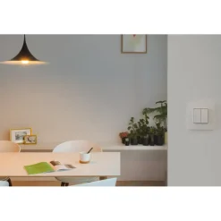 Dimmers|Opbouw Schakelmateriaal > Niko Hue Dimschakelaar Intense white