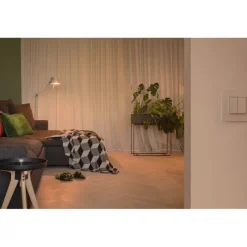Dimmers|Opbouw Schakelmateriaal > Niko Hue Dimschakelaar Intense white