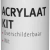 Toebehoren En Benodigdheden > OK Acrylaatkit wit 290 ml