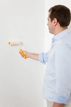 Behang Gereedschap|Toebehoren & Benodigdheden > Perfax Behangroller