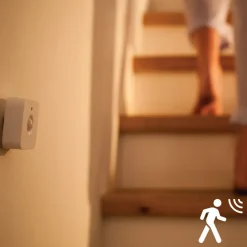 Elektronische Beveiliging|Sensoren > Philips Hue bewegingssensor
