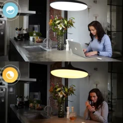 Dimmers|Opbouw Schakelmateriaal > Philips Hue dimmer switch draadloze schakelaar