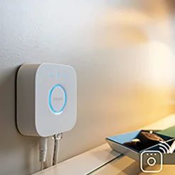 Schakelklokken|Smart Schakelmateriaal > Philips Hue losse bridge