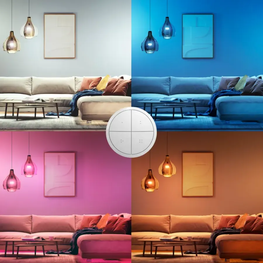Dimmers|Opbouw Schakelmateriaal > Philips Hue Tap dial switch draaischakelaar wit
