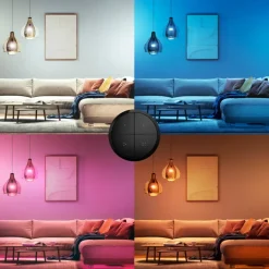 Dimmers|Opbouw Schakelmateriaal > Philips Hue Tap dial switch draaischakelaar zwart